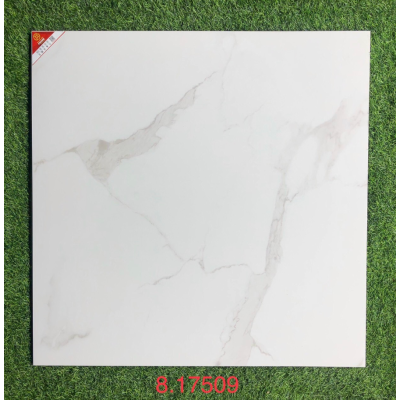GẠCH LÁT NỀN - ỐP MẶT TIỀN 80X80 PRIME 17509