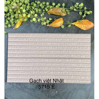 GẠCH TRANG TRÍ ỐP TƯỜNG VIỆT NHẬT 5715E