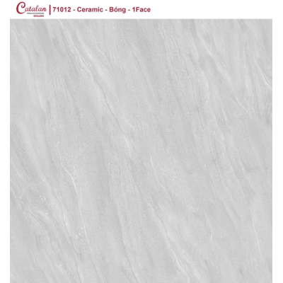 GẠCH LÁT NỀN 60X60 CATALAN XSMART XS71012
