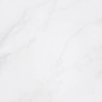 Gạch lát nền Taicera 800x800 P87418N