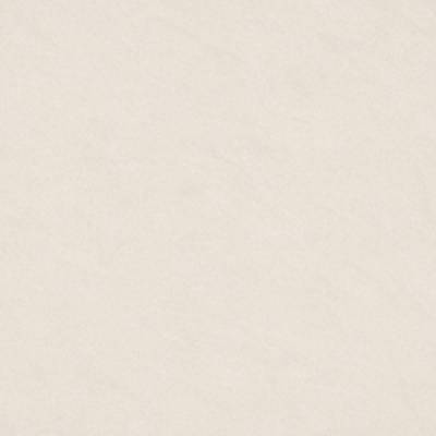 Gạch lát nền Taicera 800x800 P87542N