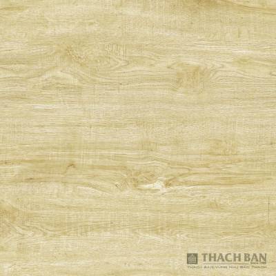 Gạch lát nền Thạch Bàn MPF80-038