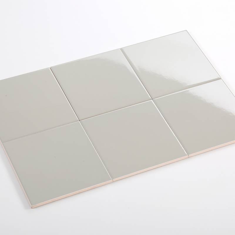 Gạch Thẻ Xám Nhạt Bóng Phẳng 200*200mm M2202 		